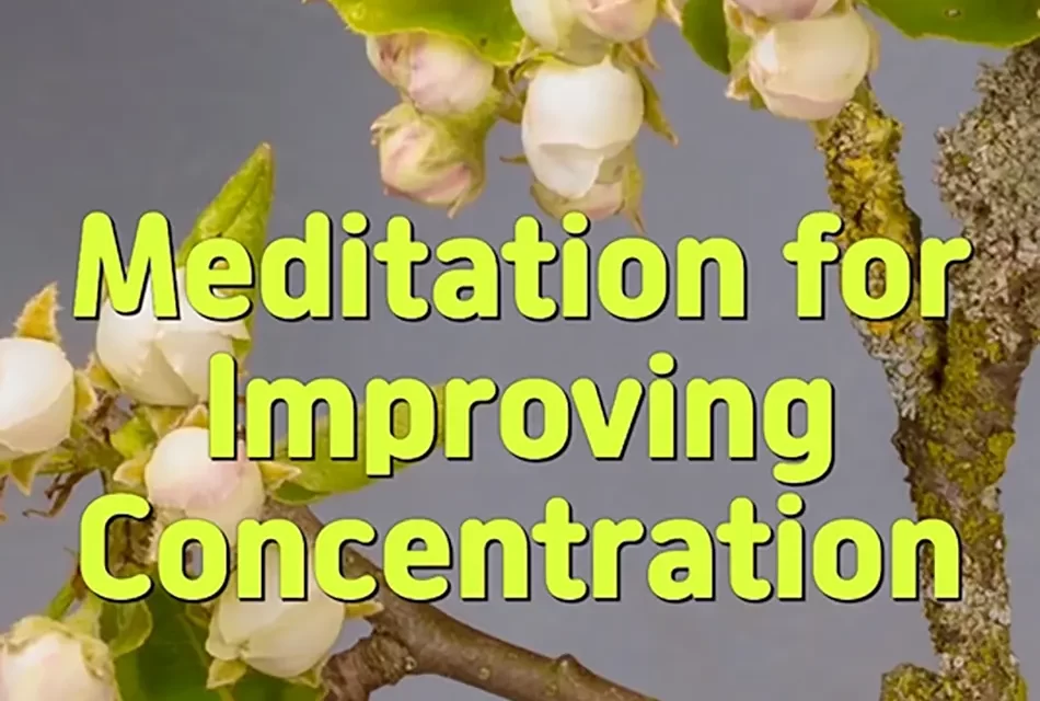 🎯 MEDITATION FOR IMPROVING CONCENTRATION: DISCARDING THOUGHTS TO GAIN WISDOM | MASTER WOO MYUNG | SANTA CLARA MEDITATION