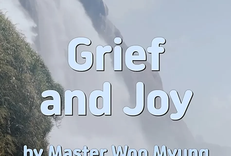 🌊 GRIEF AND JOY: BEYOND SORROW TO COMPLETION IN TRUTH | MASTER WOO MYUNG | SANTA CLARA MEDITATION