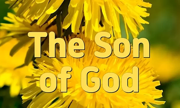 🧡 THE SON OF GOD: RETURNING TO COMPLETENESS AND ETERNAL HEAVEN | MASTER WOO MYUNG | SANTA CLARA MEDITATION