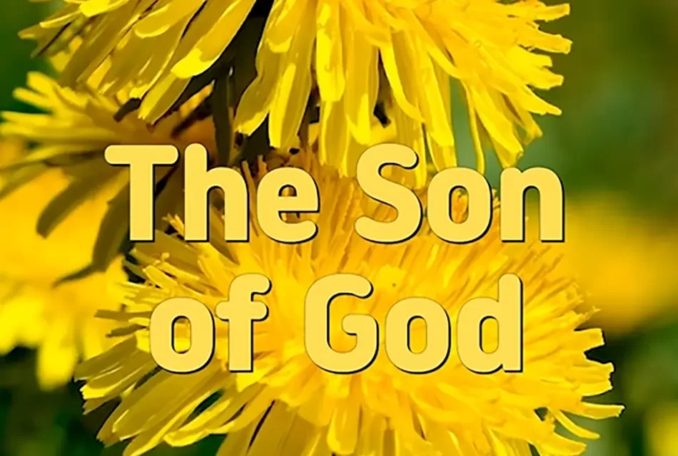 🧡 THE SON OF GOD: RETURNING TO COMPLETENESS AND ETERNAL HEAVEN | MASTER WOO MYUNG | SANTA CLARA MEDITATION