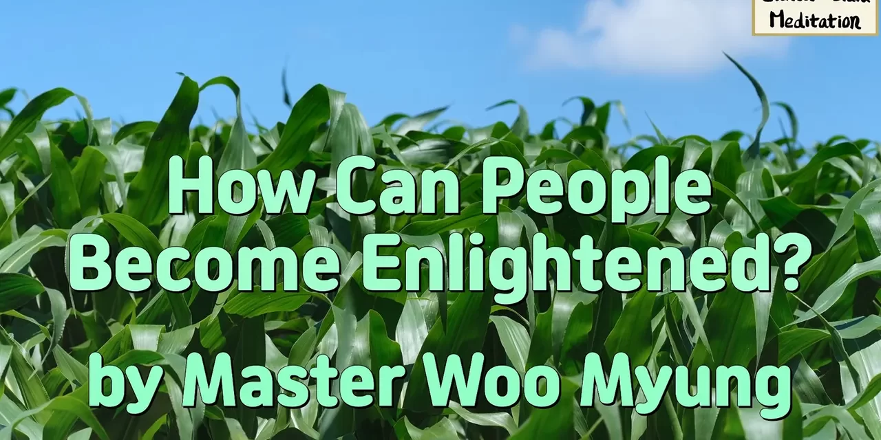 🌷 How Can People Become Enlightened?: four key steps to finding the origin of the mind | Master Woo Myung | Santa Clara Meditation