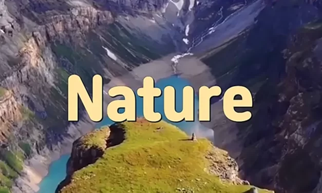 🍃 NATURE: THE FLOW OF TIME AND THE LAW OF TRUTH | MASTER WOO MYUNG | SANTA CLARA MEDITATION