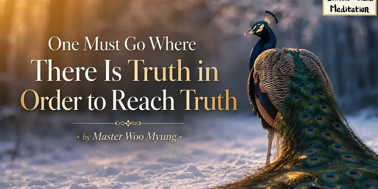π One Must Go Where There Is Truth in Order to Reach Truth: Becoming Truth, Not Just Hearing It | Master Woo Myung | Santa Clara Meditation