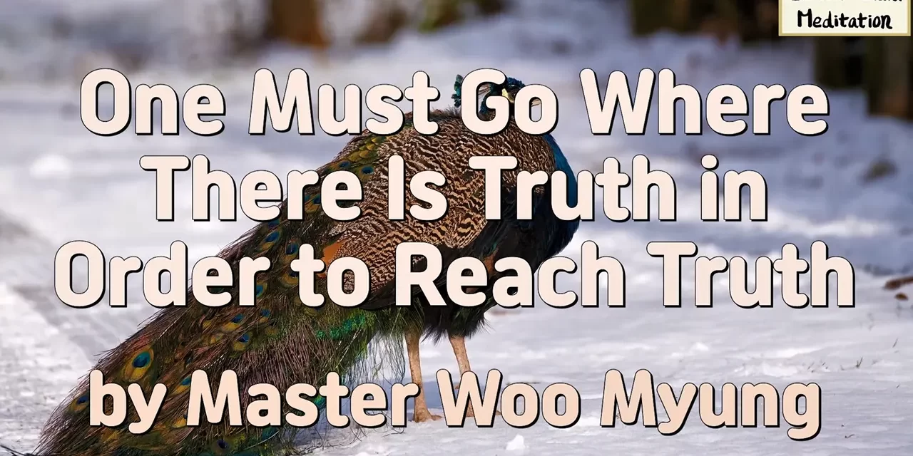 🌈 One Must Go Where There Is Truth in Order to Reach Truth: Becoming Truth, Not Just Hearing It | Master Woo Myung | Santa Clara Meditation