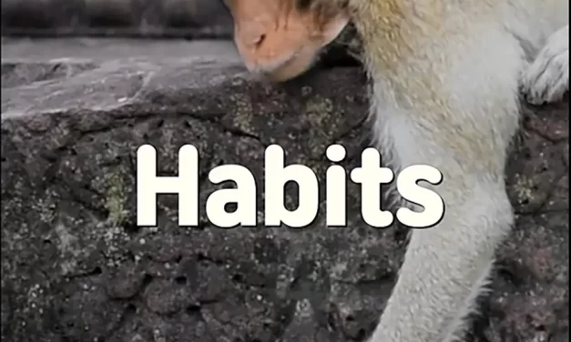 🎵 HABITS: LETTING GO OF WHAT REMAINS IN THE MIND | MASTER WOO MYUNG | SANTA CLARA MEDITATION