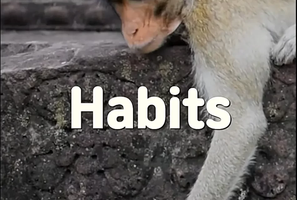 🎵 HABITS: LETTING GO OF WHAT REMAINS IN THE MIND | MASTER WOO MYUNG | SANTA CLARA MEDITATION