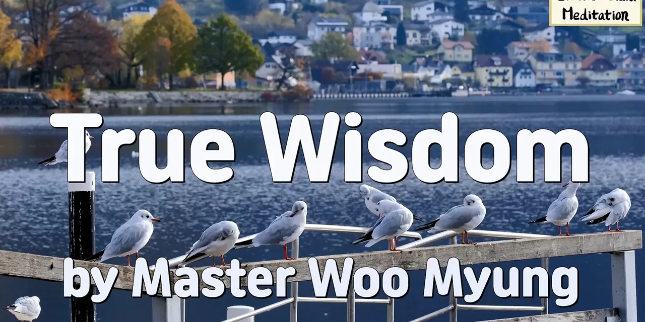 💡 TRUE WISDOM: Knowing and Becoming Truth Is the Source of All Enlightenment | Master Woo Myung | Santa Clara Meditation