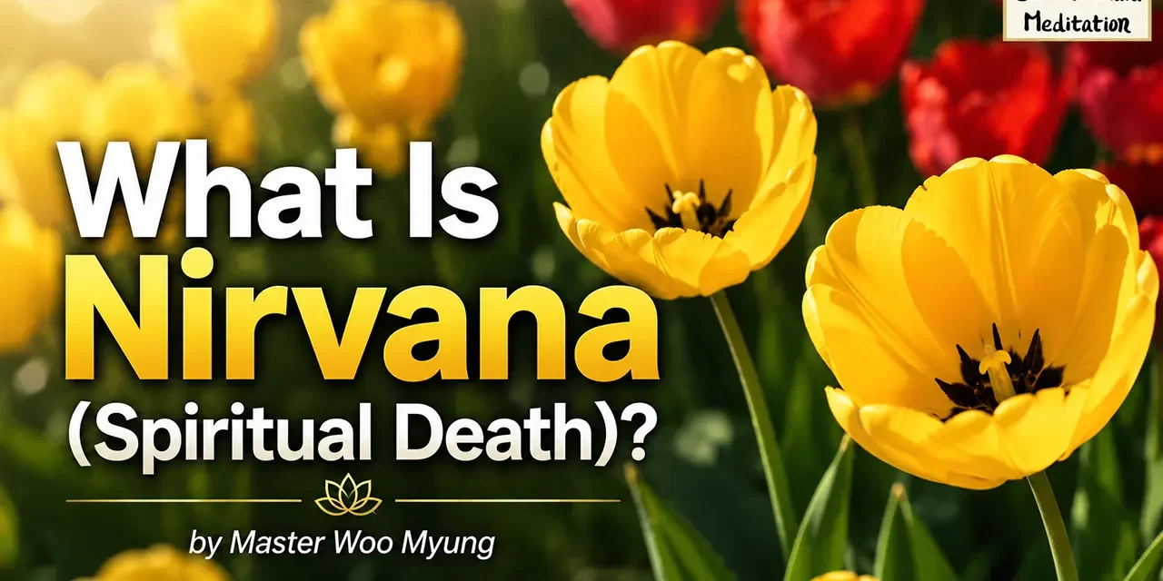 ๐ธ What Is Nirvana (Spiritual Death)?: complete discarding and great enlightenment | Master Woo Myung | Santa Clara Meditation