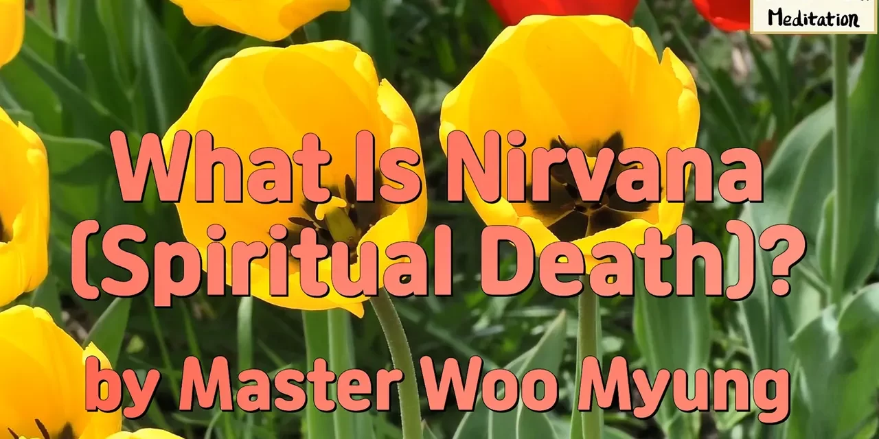 🌸 What Is Nirvana (Spiritual Death)?: complete discarding and great enlightenment | Master Woo Myung | Santa Clara Meditation