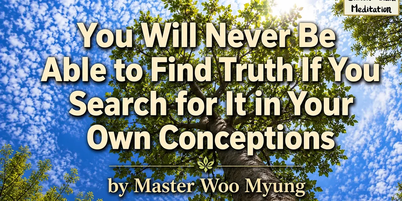 🌞 You Will Never Be Able to Find Truth If You Search for It in Your Own Conceptions | Master Woo Myung | Santa Clara Meditation