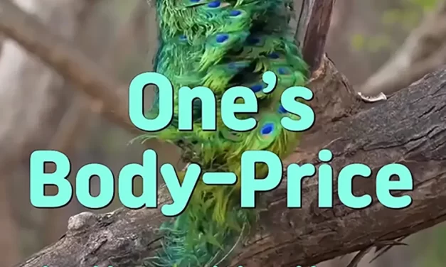 💍 ONE’S BODY-PRICE: SELF-CENTEREDNESS AND THE VALUE OF SINGLEHOOD | MASTER WOO MYUNG | SANTA CLARA MEDITATION