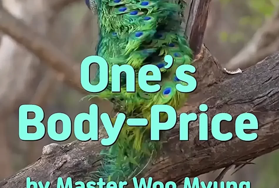 💍 ONE’S BODY-PRICE: SELF-CENTEREDNESS AND THE VALUE OF SINGLEHOOD | MASTER WOO MYUNG | SANTA CLARA MEDITATION