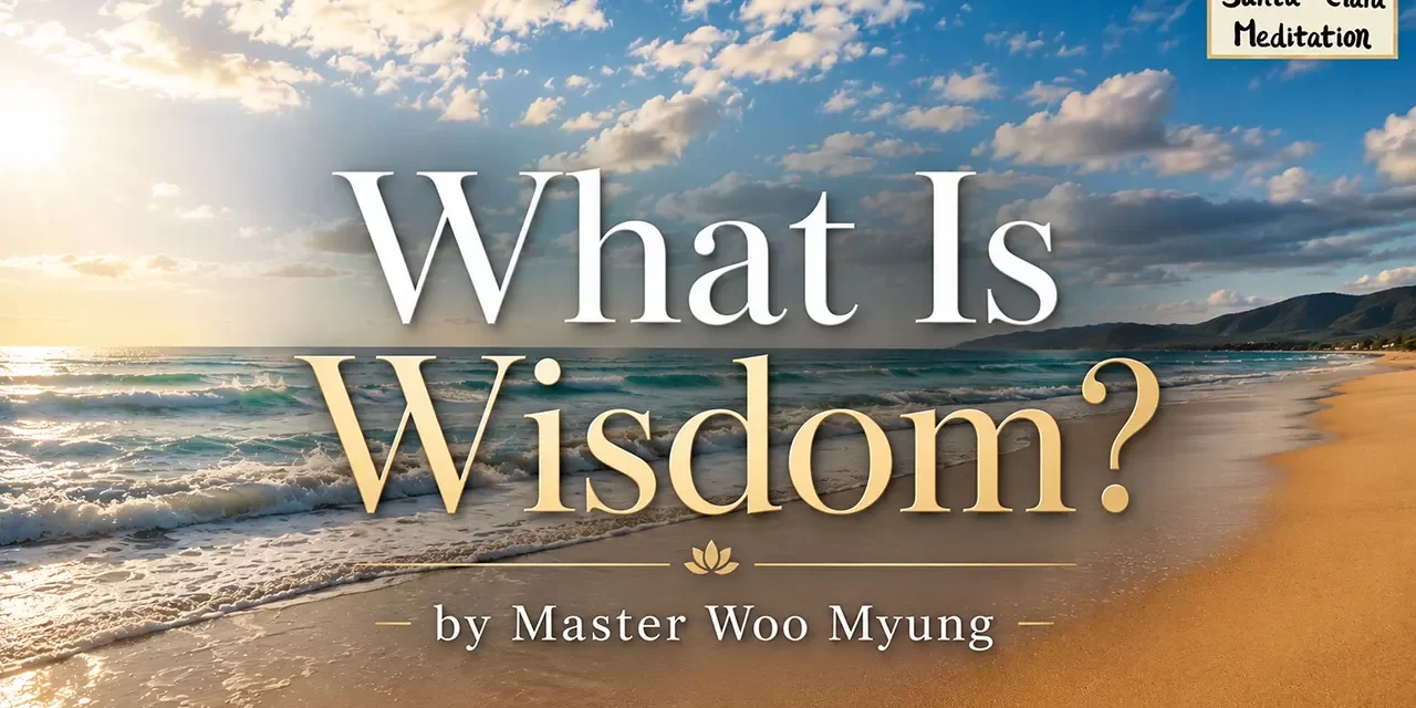 ๐ผ What Is Wisdom?: The Viewpoint of the Universe and the Birth of True Insight | Master Woo Myung | Santa Clara Meditation