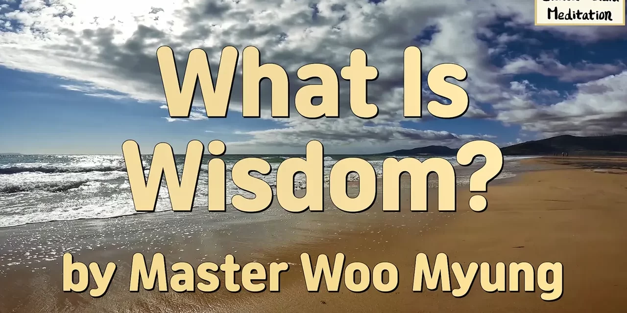 🌼 What Is Wisdom?: The Viewpoint of the Universe and the Birth of True Insight | Master Woo Myung | Santa Clara Meditation