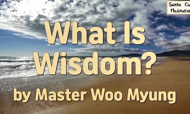🌼 What Is Wisdom?: The Viewpoint of the Universe and the Birth of True Insight | Master Woo Myung | Santa Clara Meditation