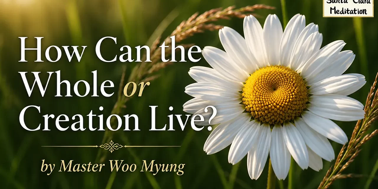 π
How Can the Whole of Creation Live?: Consciousness, Oneness, and Eternal Truth | Master Woo Myung | Santa Clara Meditation