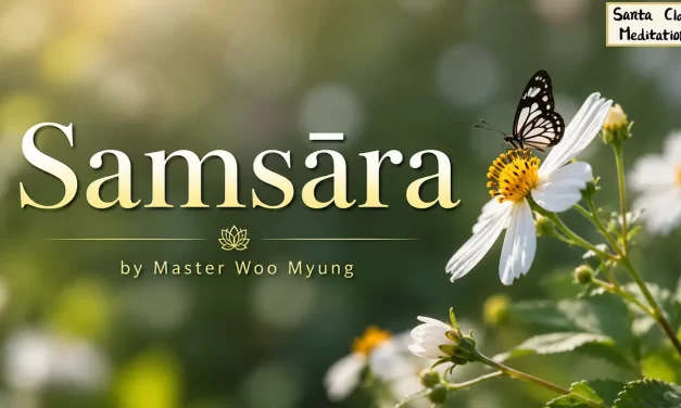 🌌 Samsāra: escaping illusion and becoming Truth | Master Woo Myung | Santa Clara Meditation