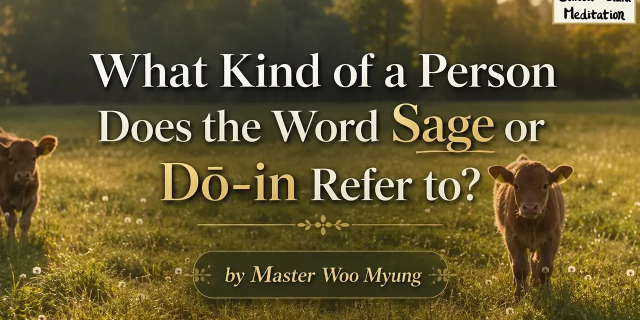 π WHAT KIND OF A PERSON DOES THE WORD SAGE OR DΕ-IN REFER TO? | MASTER WOO MYUNG | SANTA CLARA MEDITATION