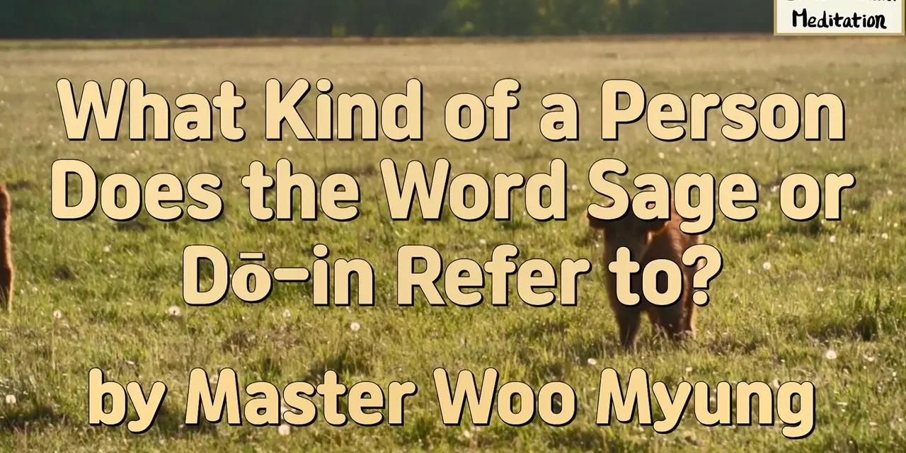 🌟 WHAT KIND OF A PERSON DOES THE WORD SAGE OR DŌ-IN REFER TO? | MASTER WOO MYUNG | SANTA CLARA MEDITATION