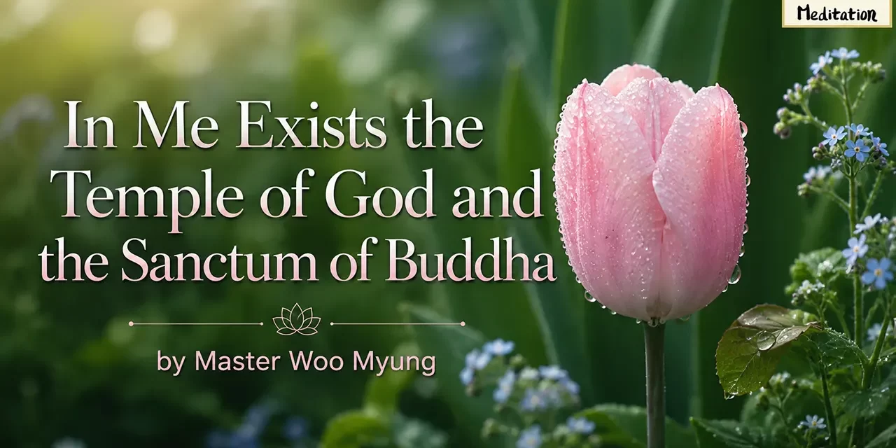 π In Me Exists the Temple of God and the Sanctum of Buddha: becoming infinite Truth | Master Woo Myung | Santa Clara Meditation