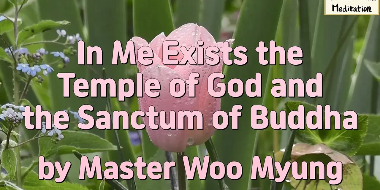 🌟 In Me Exists the Temple of God and the Sanctum of Buddha: becoming infinite Truth | Master Woo Myung | Santa Clara Meditation
