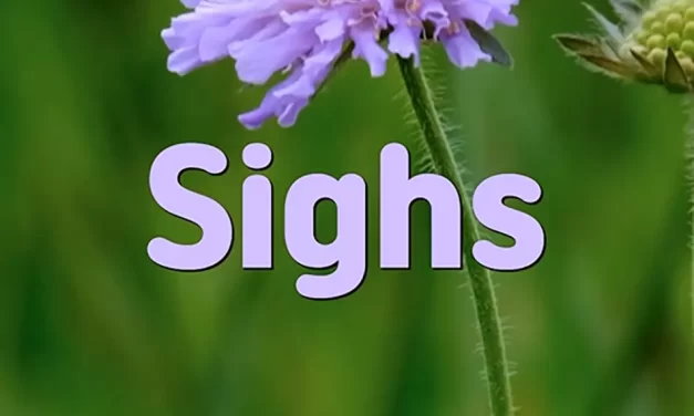 🌬️ SIGHS: LETTING GO OF REGRETS AND SORROWS | MASTER WOO MYUNG | SANTA CLARA MEDITATION