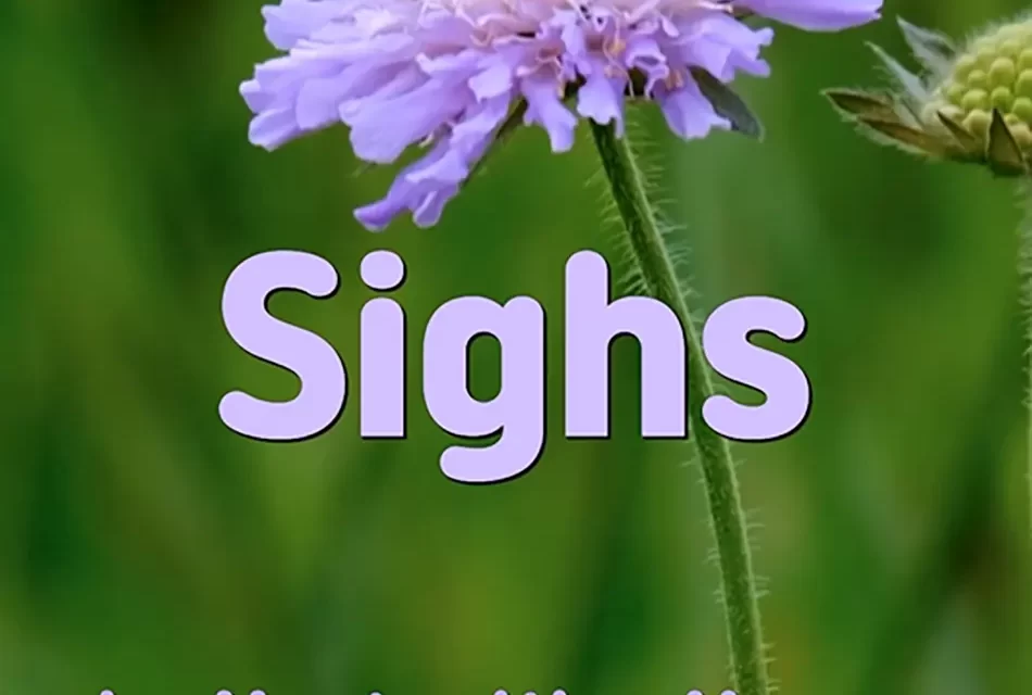 🌬️ SIGHS: LETTING GO OF REGRETS AND SORROWS | MASTER WOO MYUNG | SANTA CLARA MEDITATION