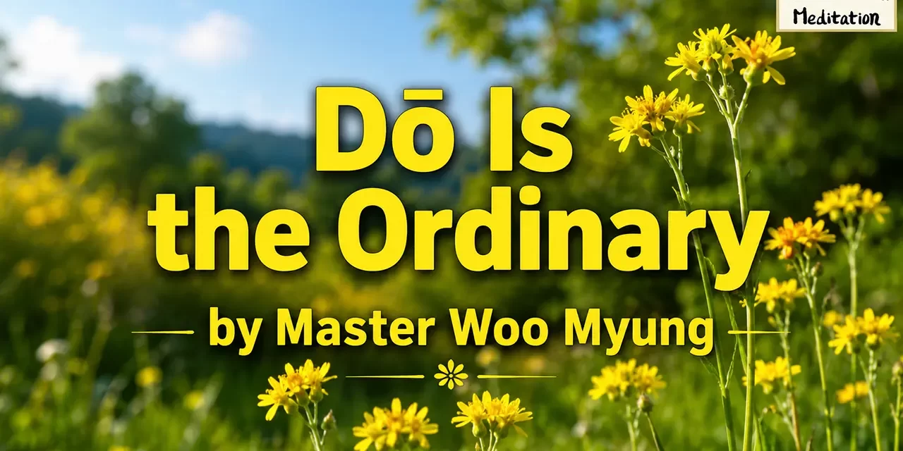 🍃 DŌ IS THE ORDINARY: The Path to Truth Is Found in Everyday Life | Master Woo Myung | Santa Clara Meditation