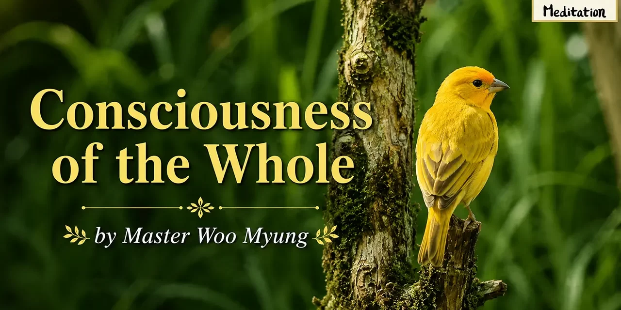 🌏 Consciousness of the Whole: Becoming One with the Universe and Truth | Master Woo Myung | Santa Clara Meditation