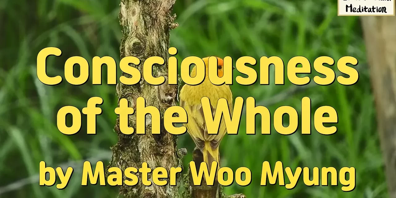 🌏 Consciousness of the Whole: Becoming One with the Universe and Truth | Master Woo Myung | Santa Clara Meditation