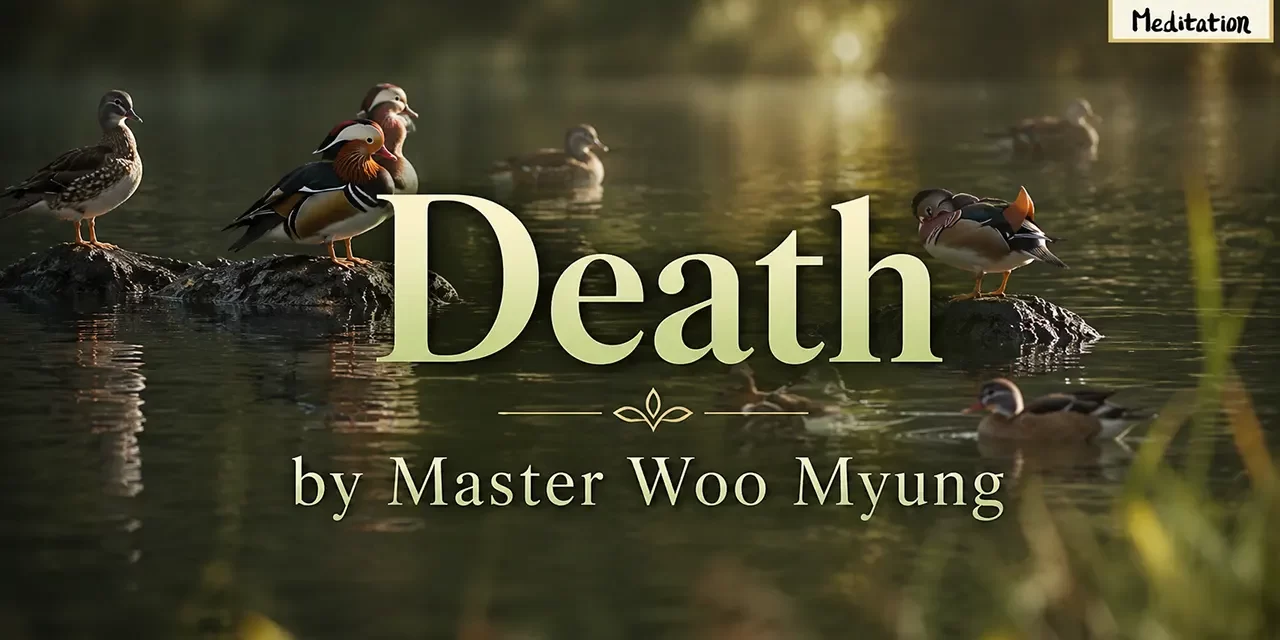 🌅 Death: eternal life through resurrection as Energy and Light | Master Woo Myung | Santa Clara Meditation