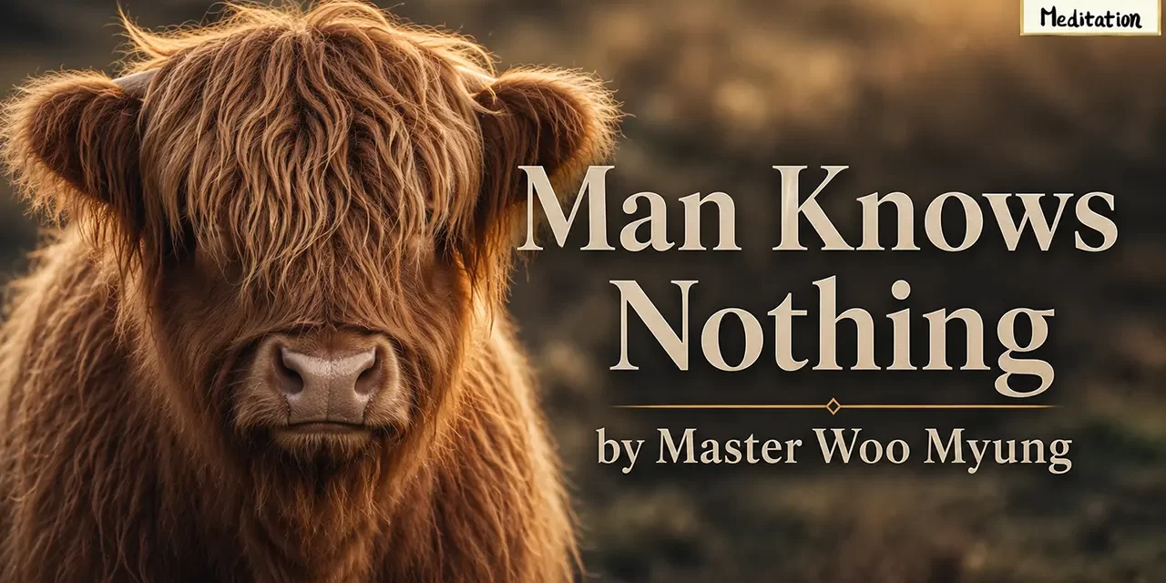 π Man Knows Nothing: self-centered thoughts vs the One Mind of Truth | Master Woo Myung | Santa Clara Meditation