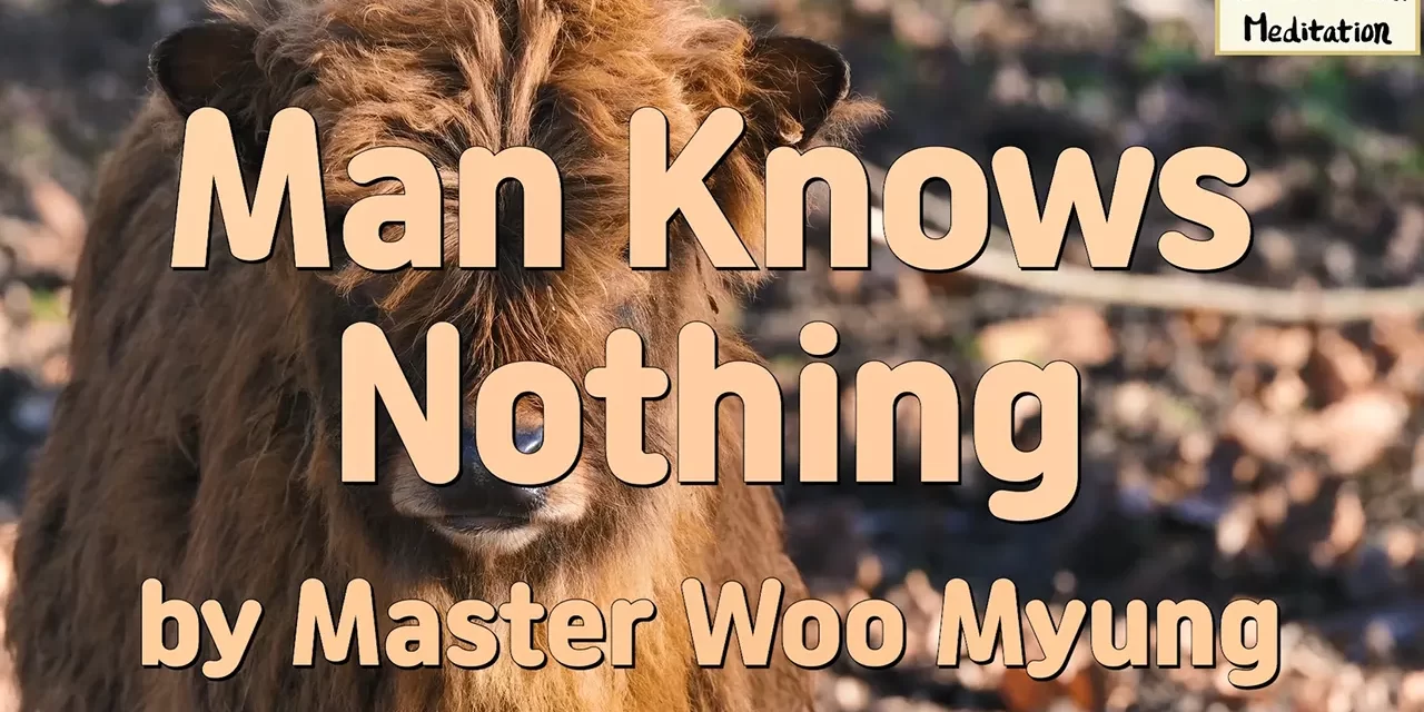 🌟 Man Knows Nothing: self-centered thoughts vs the One Mind of Truth | Master Woo Myung | Santa Clara Meditation