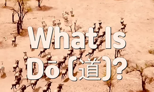 🛤️ WHAT IS DŌ (道)? THE WAY TO THE ORIGINAL SELF | MASTER WOO MYUNG | SANTA CLARA MEDITATION