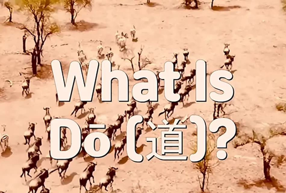 🛤️ WHAT IS DŌ (道)? THE WAY TO THE ORIGINAL SELF | MASTER WOO MYUNG | SANTA CLARA MEDITATION