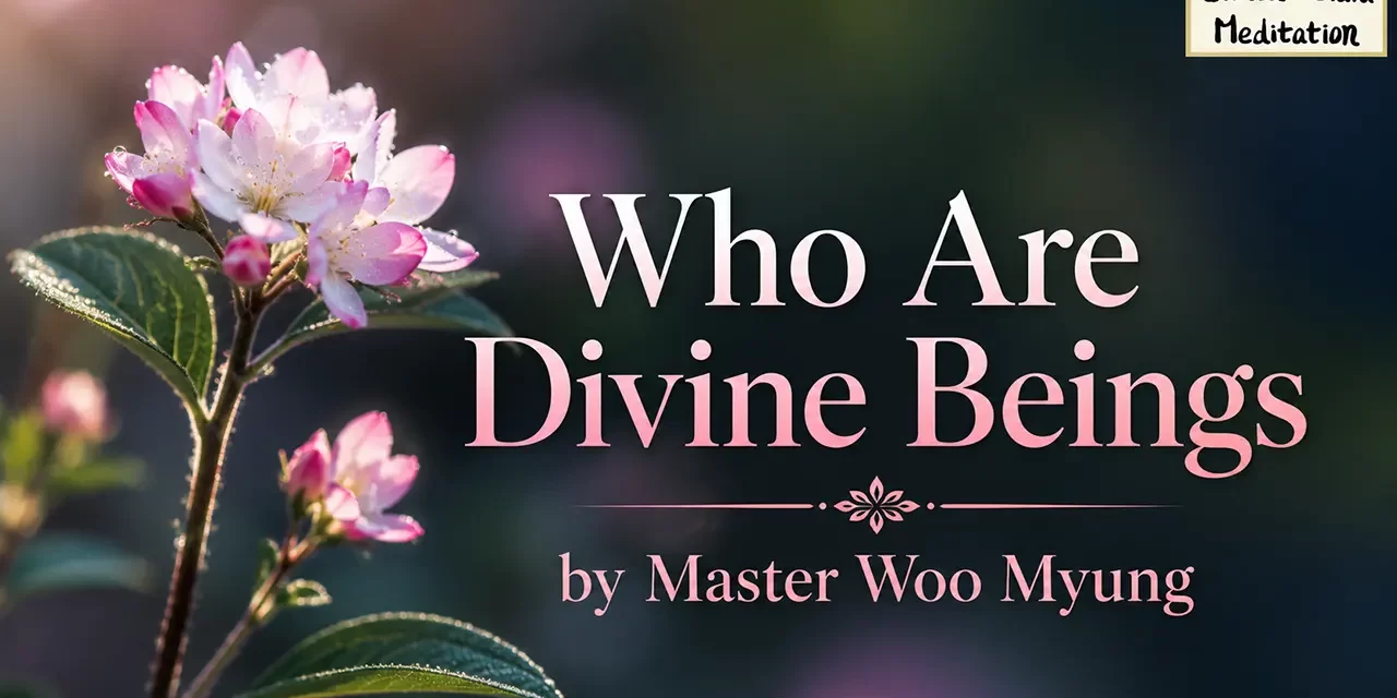 π WHO ARE DIVINE BEINGS? | MASTER WOO MYUNG | SANTA CLARA MEDITATION