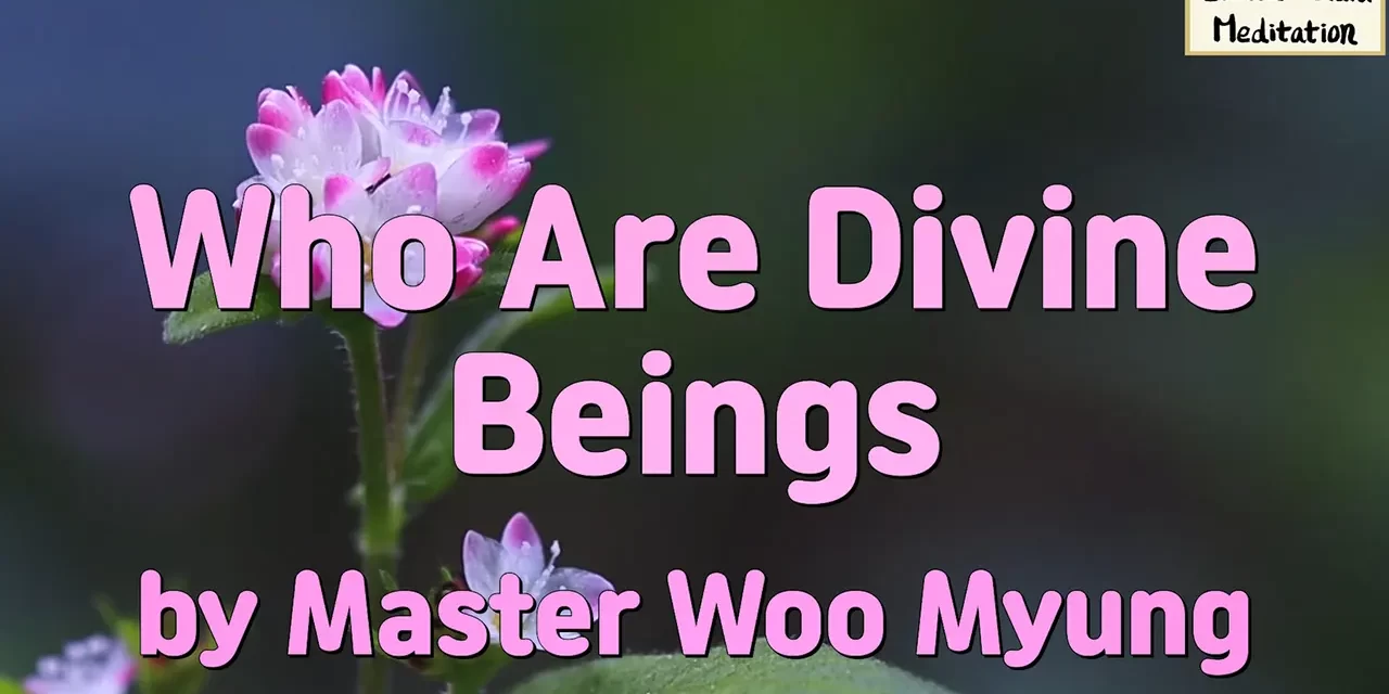 💚 WHO ARE DIVINE BEINGS? | MASTER WOO MYUNG | SANTA CLARA MEDITATION