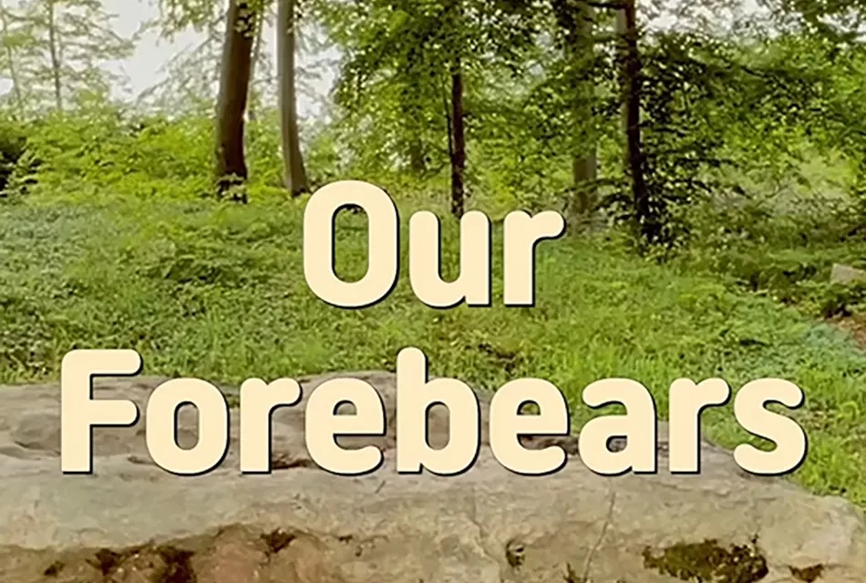 🕯️ OUR FOREBEARS: THE UNFINISHED STORIES OF THE PAST | MASTER WOO MYUNG | SANTA CLARA MEDITATION