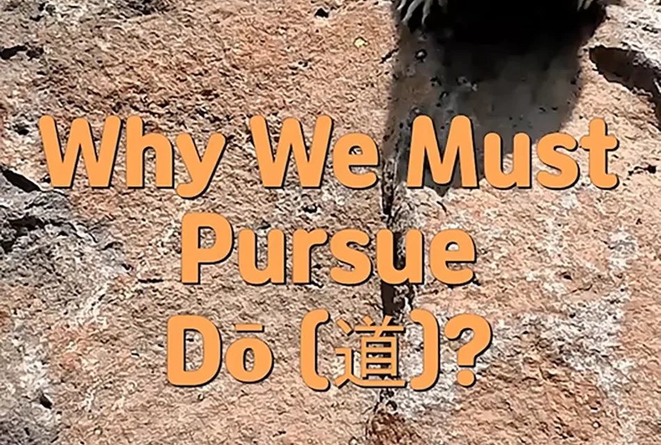 🌌 WHY WE MUST PURSUE DŌ (道): THE PATH TO TRUE LIBERATION | MASTER WOO MYUNG | SANTA CLARA MEDITATION