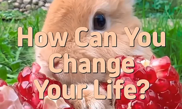 🌟 HOW CAN YOU CHANGE YOUR LIFE? TRANSFORMING THE MIND INTO TRUTH | MASTER WOO MYUNG | SANTA CLARA MEDITATION