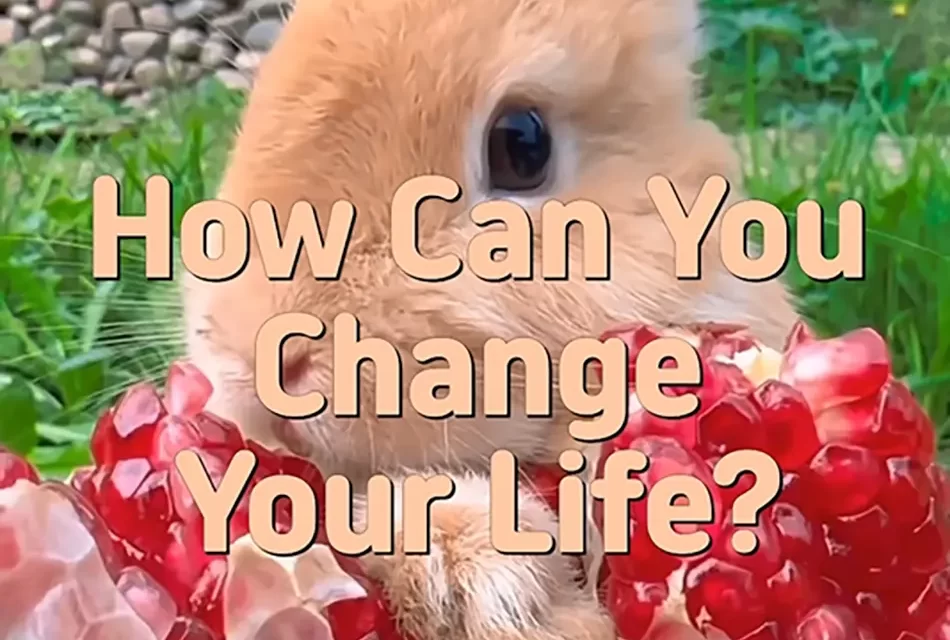 🌟 HOW CAN YOU CHANGE YOUR LIFE? TRANSFORMING THE MIND INTO TRUTH | MASTER WOO MYUNG | SANTA CLARA MEDITATION