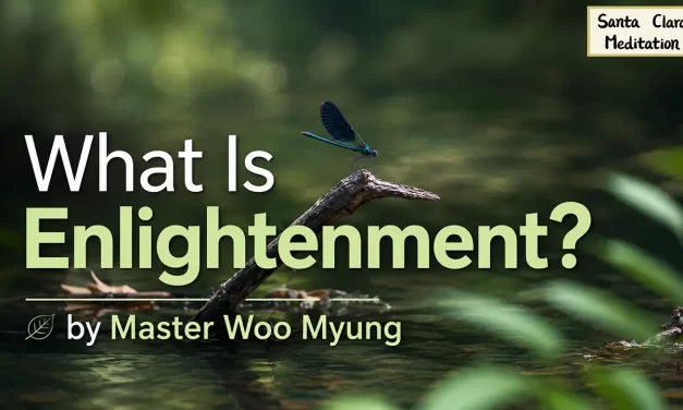 🌠 WHAT IS ENLIGHTENMENT? | MASTER WOO MYUNG | SANTA CLARA MEDITATION