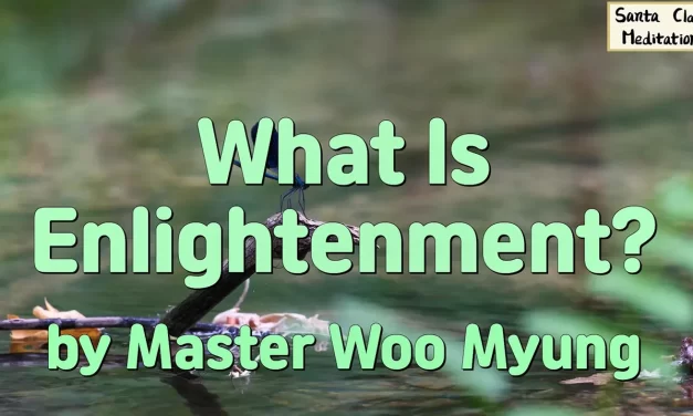 🌠 WHAT IS ENLIGHTENMENT? | MASTER WOO MYUNG | SANTA CLARA MEDITATION