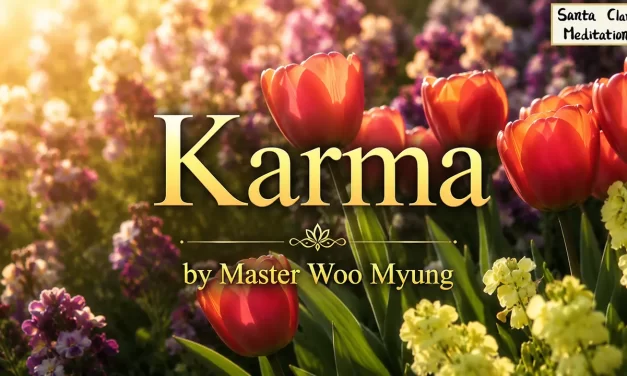 🌸 KARMA | MASTER WOO MYUNG | SANTA CLARA MEDITATION