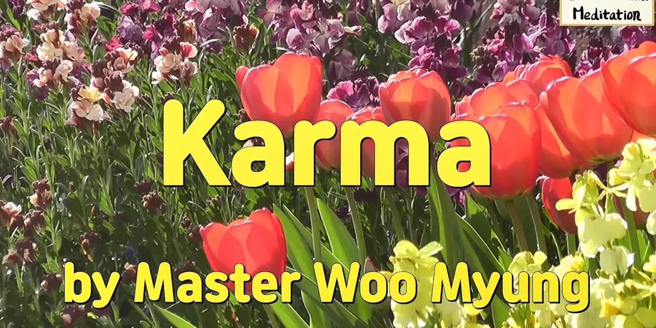 🌸 KARMA | MASTER WOO MYUNG | SANTA CLARA MEDITATION