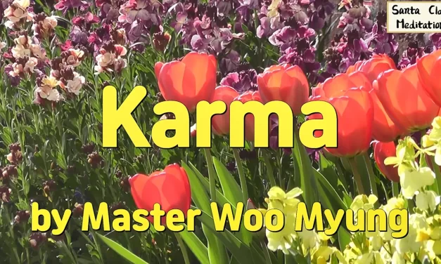 🌸 KARMA | MASTER WOO MYUNG | SANTA CLARA MEDITATION