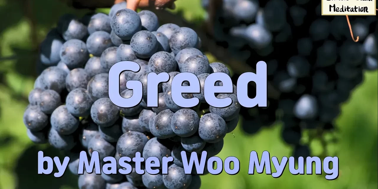 🌻 GREED | MASTER WOO MYUNG | SANTA CLARA MEDITATION