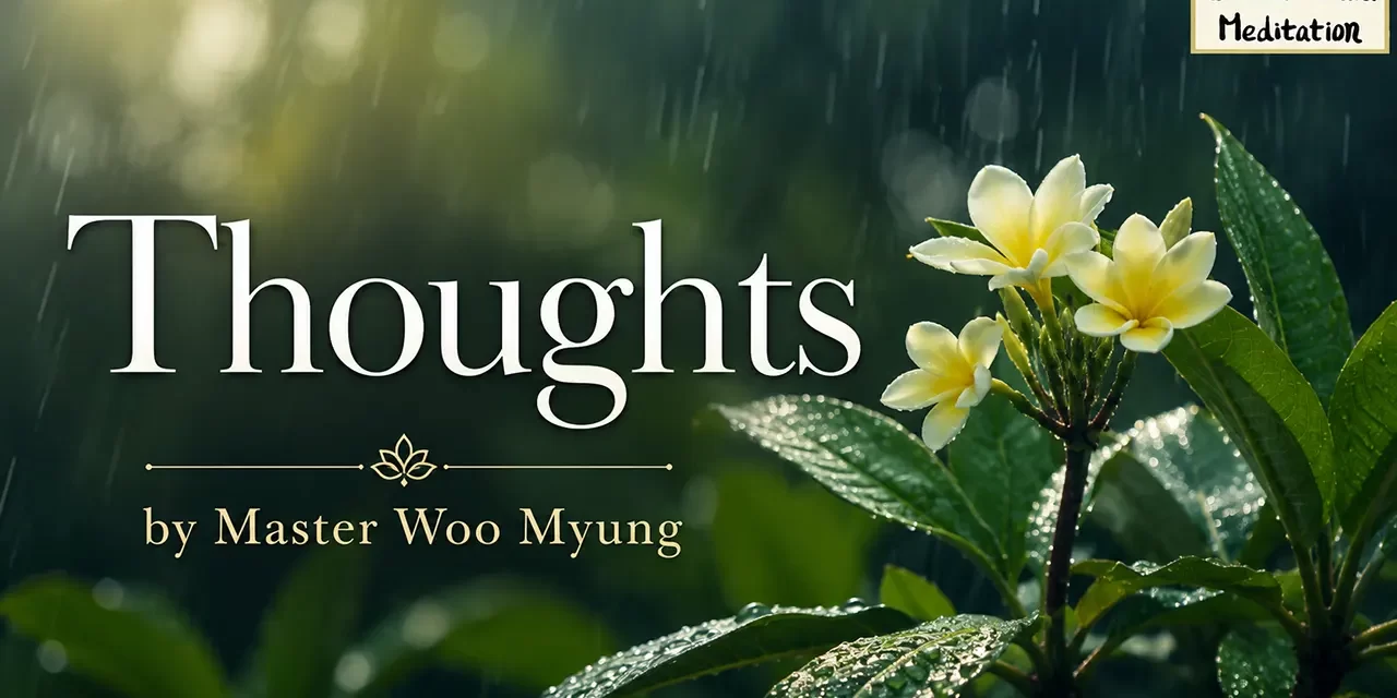๐ฆ๏ธ THOUGHTS | MASTER WOO MYUNG | SANTA CLARA MEDITATION