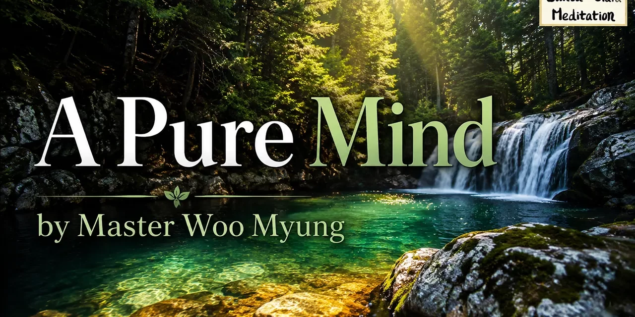 π A PURE MIND | MASTER WOO MYUNG | SANTA CLARA MEDITATION