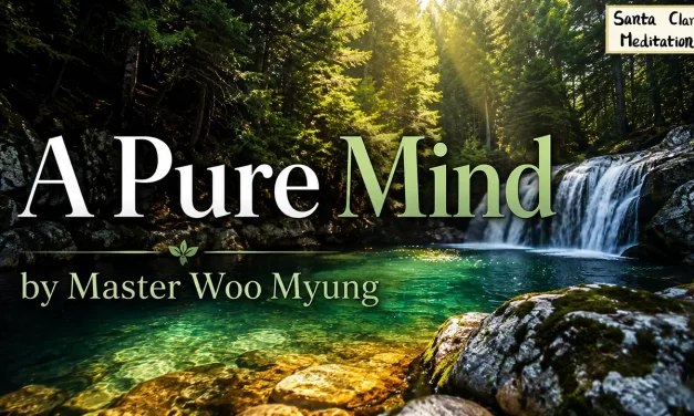 💎 A PURE MIND | MASTER WOO MYUNG | SANTA CLARA MEDITATION